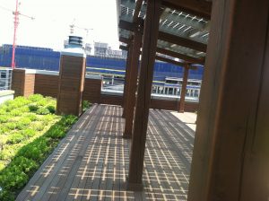 Green Home Plus' Rooftop Garden Green Home Plus' Rooftop Garden