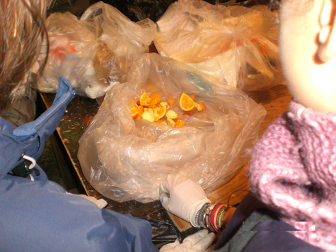Waldorf School Waste Audit
